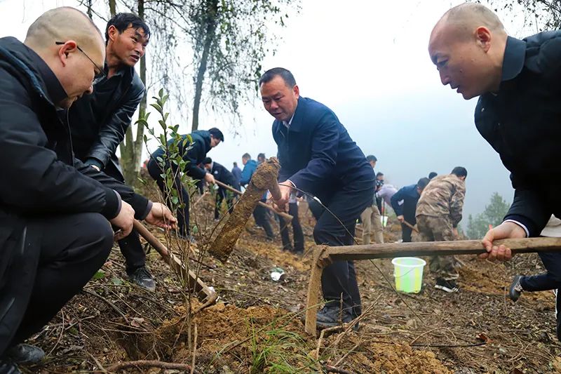 微信图片_20250313173746.jpg